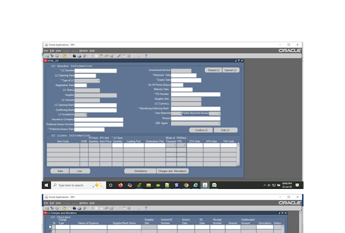provide oracle ebs technical and functional  consultancy